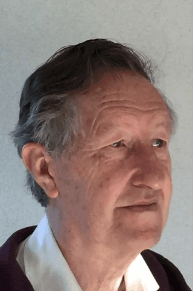 Henk van Schaik